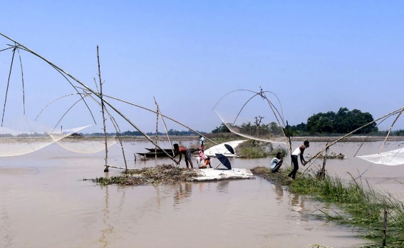 Bihar: मछली पालन के लिए राज्य सरकार दे रही है निशुल्क प्रशिक्षण