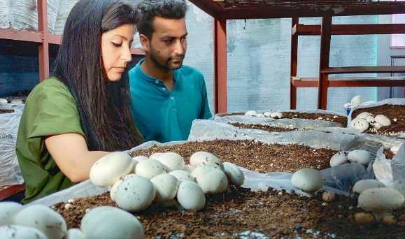 Bihar: मशरूम की खेती कर आर्थिक रुप से आत्मनिर्भर हो रहे किसान, जल्द करें आवेदन