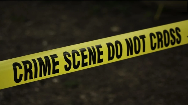 परिवार की मर्जी के खिलाफ शादी करने पर युवती की हत्या, भाई समेत चार गिरफ्तार