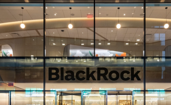 ब्लैकरॉक को 500 मिलियन डॉलर का चूना लगाकर भारतीय CEO अमेरिका से फरार, भारत कनेक्शन?