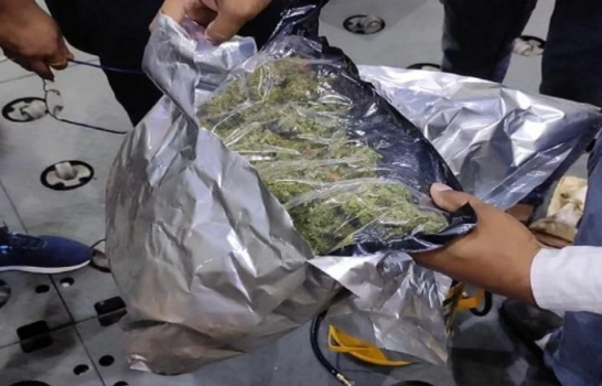 मुंबई हवाई अड्डे पर 13.07 करोड़ रुपये का हाइड्रोपोनिक गांजा और 87 लाख रुपये के अमेरिकी डॉलर जब्त