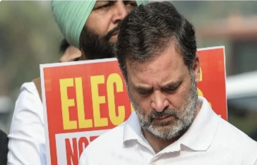 आज कुत्ता ही मेन टॉपिक… संसद में कुत्ता लाए जाने पर हुए विवाद के बीच बोले राहुल गांधी