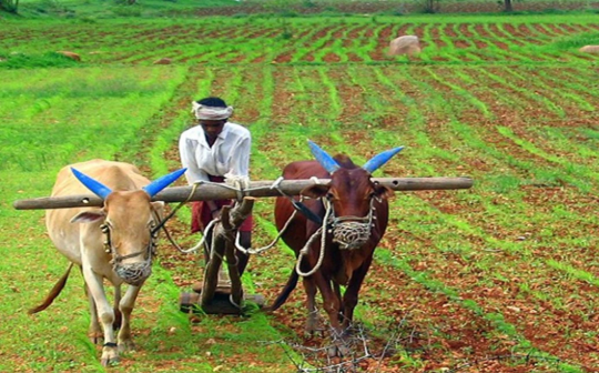 Farmers Day 2025: हर साल 23 दिसंबर को मनाया जाता है किसान दिवस, जानिए इतिहास और महत्व