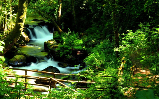 पर्यावरण: जान—माल के नुकसान की नेताओं को परवाह नहीं